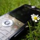 Lost Cell Phone